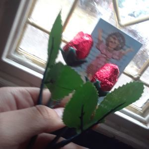 Meet your Posher, Josii